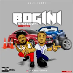 3rebor - Bogini ft Danny S